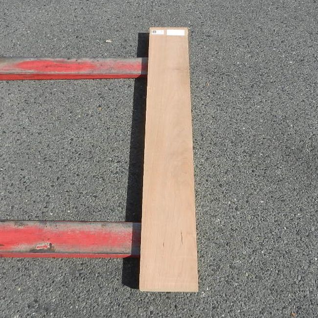 アメリカンブラックチェリー CHA-37