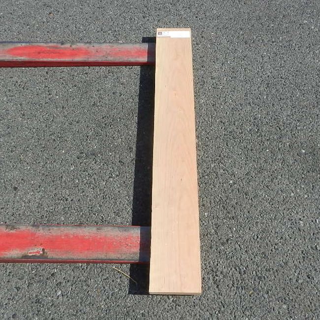 アメリカンブラックチェリー CHA-41