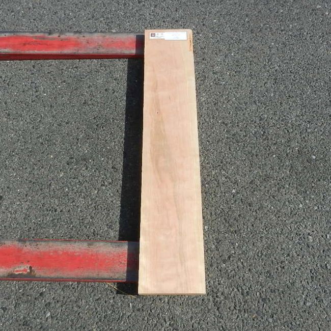 アメリカンブラックチェリー CHA-44